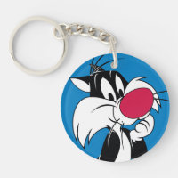 Sylvester| Pose classique
