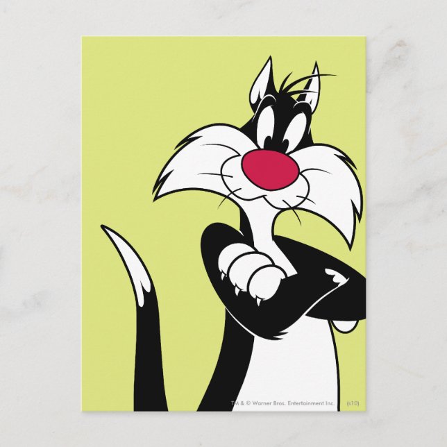 SYLVESTER™ Red Nose Postkarte (Vorderseite)