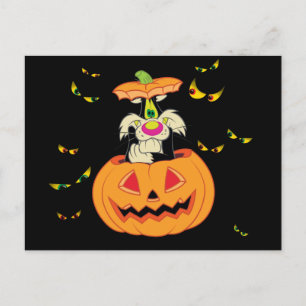 SYLVESTER™ versteckt in einem Jack-o-Lantern Einladungspostkarte