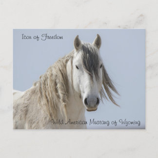 Symbol der Freiheit - Postkarte