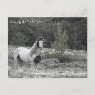 Symbol des Wilden Westens - Postkarte