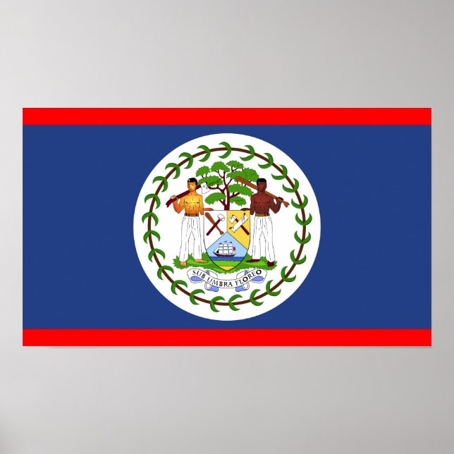 Symbol für das Flaggenland von Belize Poster (Vorne)