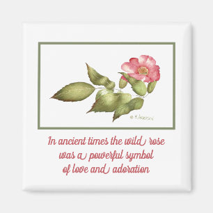 Symbol für die Blume der Rose in Rosa Magnet
