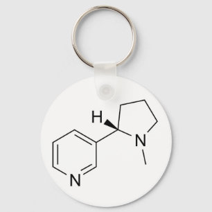 Symbol für Nikotinchemikalien Schlüsselanhänger
