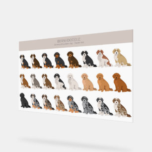 SYMBOLE ACrylique Bernedoodle