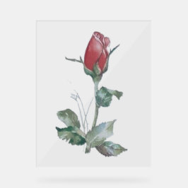 SYMBOLE ACrylique STYLE ROSE BUD DESIGN
