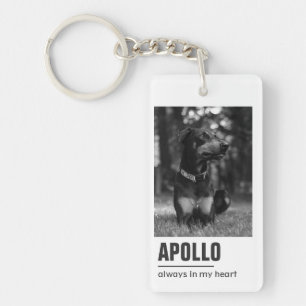 Symbole de conservation de l'animal de compagnie