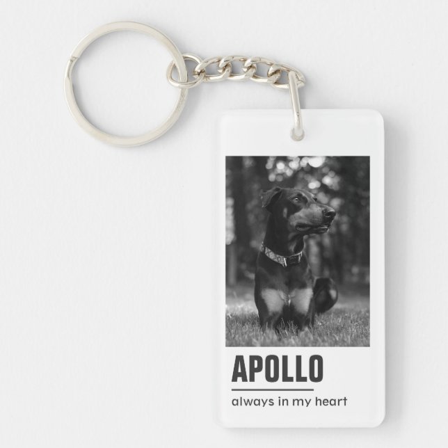 Symbole de conservation de l'animal de compagnie (Devant)