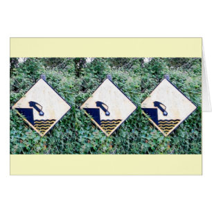 SYMBOLE Glin Irlande