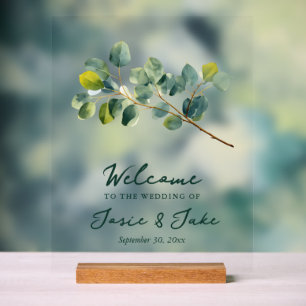 Symbole vert d'accueil de la branche d'Eucalyptus