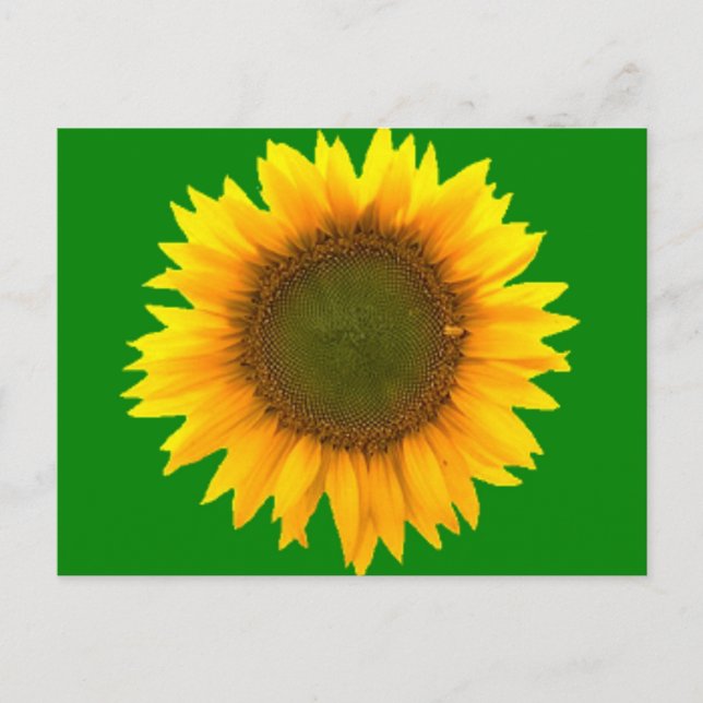 Symbolismus der Lichtpostkarte Postkarte (Vorderseite)