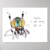 Sympa Peacock Araignée Colorée Dessin Poster