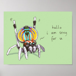 Sympa Peacock Araignée Colorée Dessin Poster