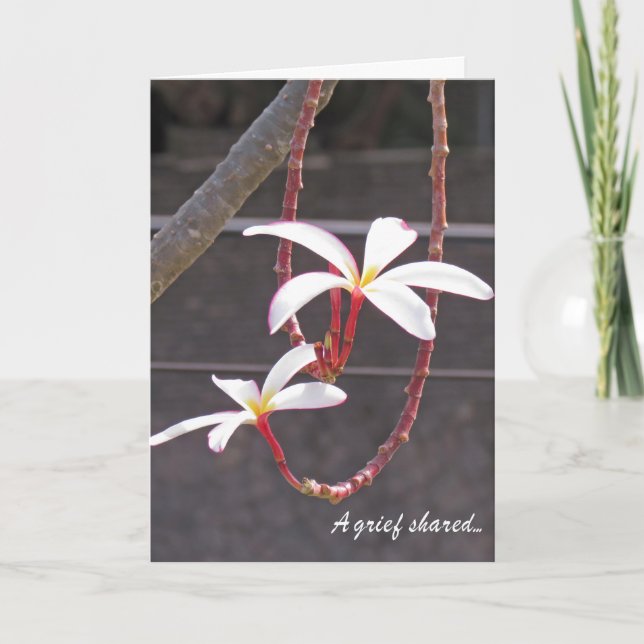 Sympathie Card-Tropische Blume Karte (Vorderseite)