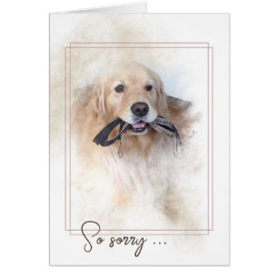 Sympathie de perte de animal de compagnie Golden R