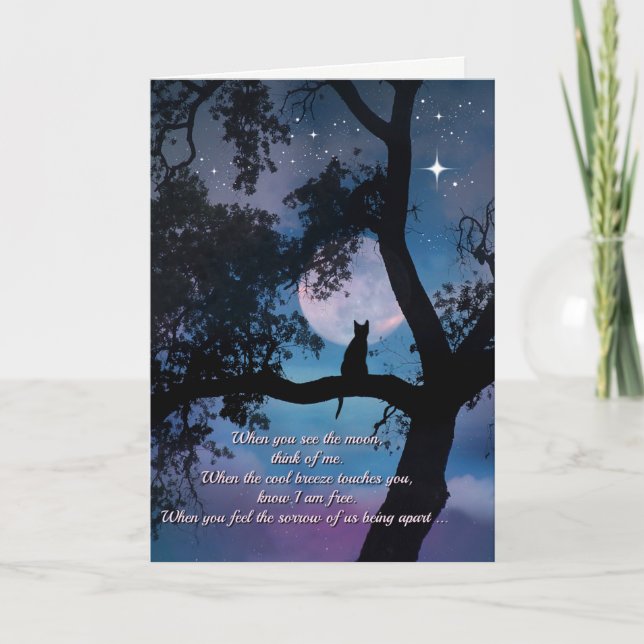 Sympathie du chat, perte de la carte de chat (Devant)