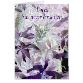 Sympathie du chat pourpre Perte d'animal de compag