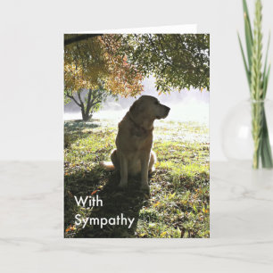 Sympathie-Karte mit Golden Retriever Karte