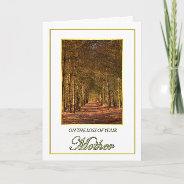 Sympathie sur la perte de votre carte mère Pine Pa (Devant)
