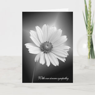 Sympathie Weiße Daisy mit Lichtstrahlen Karte