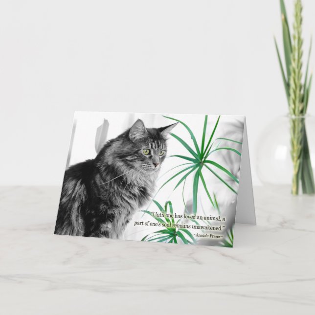 Sympathiekarte für Haustiere für Katzen Karte (Vorderseite)
