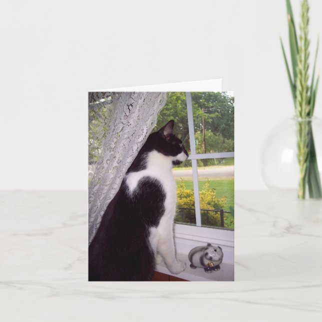 Sympathiekarte für Katzen Karte (Vorderseite)