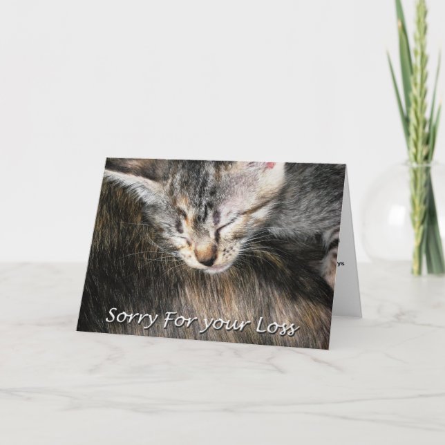 Sympathiekarte für Katzen, Verlust der Katze Karte (Vorderseite)