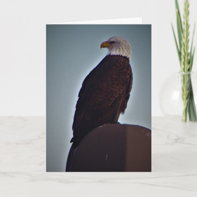 Sympathiekarte "Top Bird" Karte (Vorderseite)