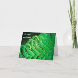 Sympathy Card mit Green Fern Karte