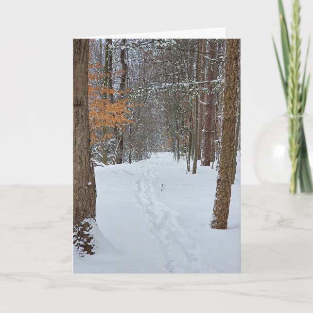 Sympathy Snowy Footprints In a Winter Forest  Karte (Vorderseite)