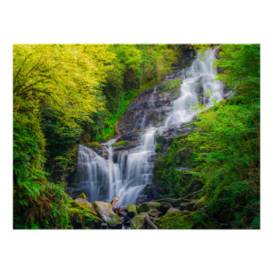Symphonie der Natur: Die Wasserfälle von Killarney Poster