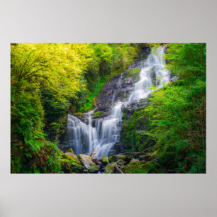 Symphonie der Natur: Die Wasserfälle von Killarney Poster