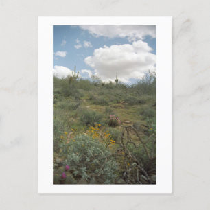 Symphonie du désert Sonoran Arizona Photo Cartes p