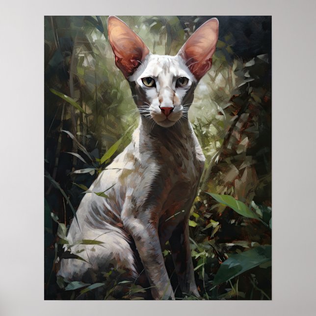Symte Oriental Shorthair Cat Art Imprimer Poster (Devant)