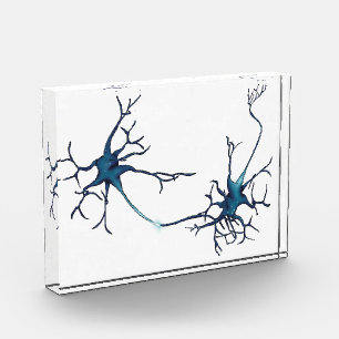 Synapse zwischen Neuronen, Neurowissenschaftsneuro Fotoblock