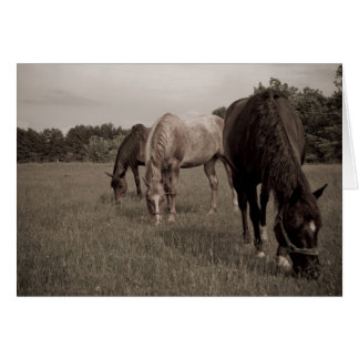 Synchronisiertes Munching