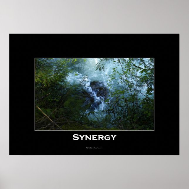SYNERGY Nature River Affiche inspirante (Devant)