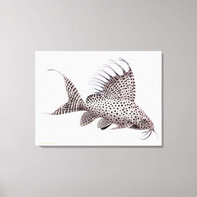 Synodontis Eupterus Catfish Wrapped Canvas Leinwanddruck (Vorderseite)