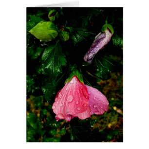 Syntymäpäivää-gouttes de pluie Finlandaises-Hyvää
