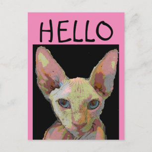 SYPHNX HAIRLESS CAT HELLO Carte postale