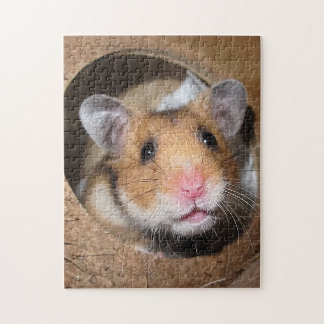 Syrian Pet Hamster - Standard Hamster - Teddy Bear (Vertikal)