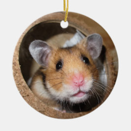 Syrian Pet Hamster - Standard Hamster - Teddy Bear Keramik Ornament