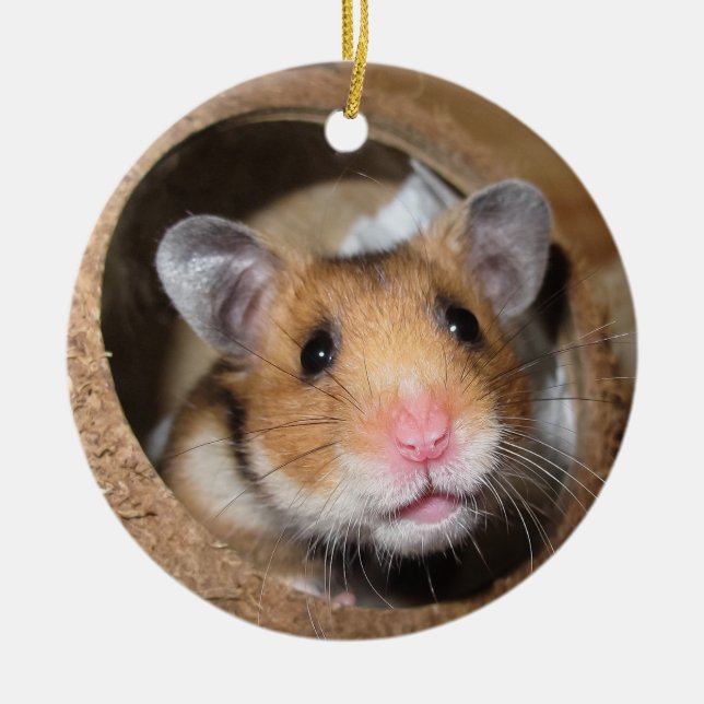 Syrian Pet Hamster - Standard Hamster - Teddy Bear Keramik Ornament (Vorne)