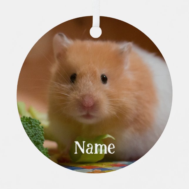 Syrian Pet Hamster - Standard Hamster - Teddy Bear Ornament Aus Metall (Vorderseite)