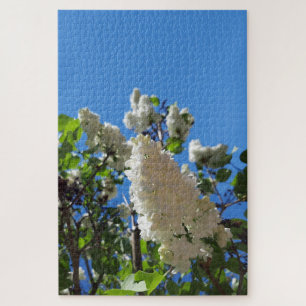 Syringa, White Lilac Blume Tree