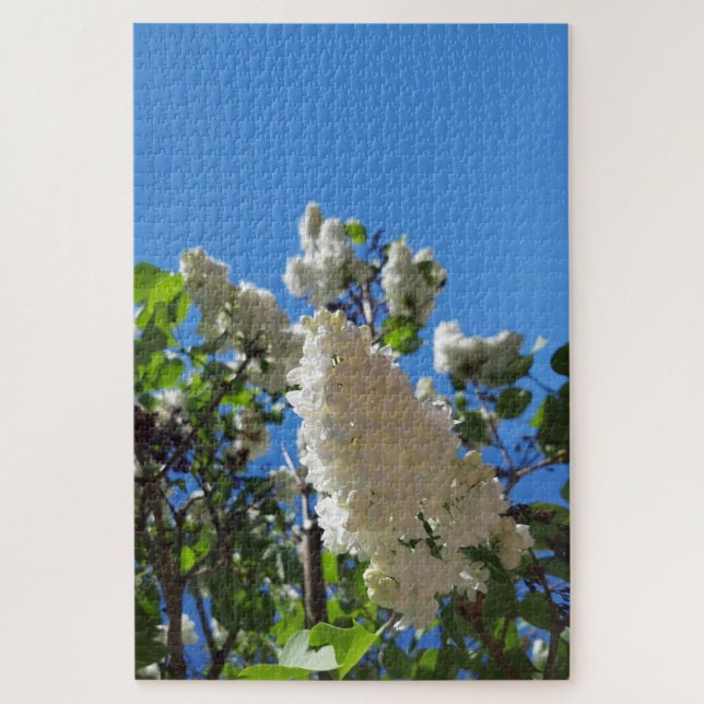 Syringa, White Lilac Blume Tree (Vertikal)