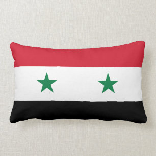 Syrisches Flaggenkissen Lendenkissen