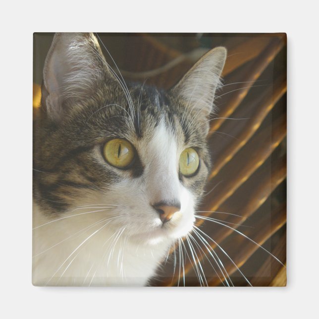 Syrus Magnet 003 (Vorne)