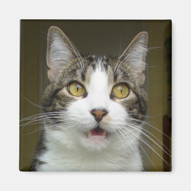 Syrus Magnet secoué 0001 (Devant)