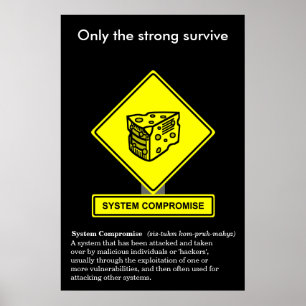 System Commit Security Awareness Poster